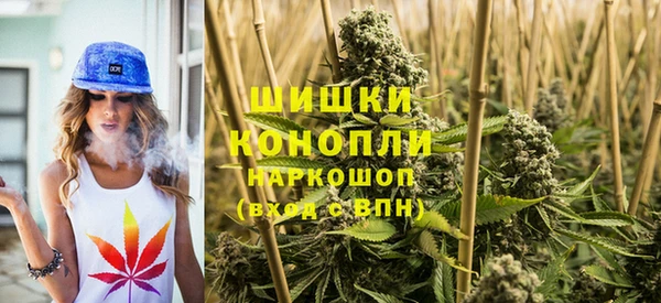 сатива Баксан