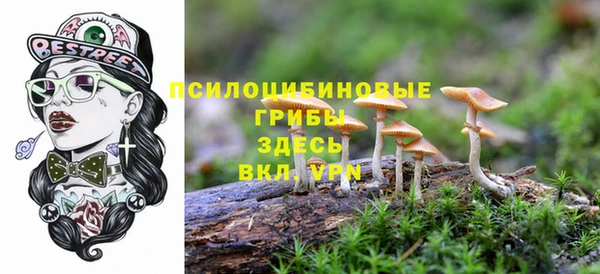 шишки Балабаново