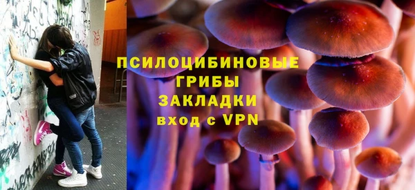 PSILOCYBIN Балахна