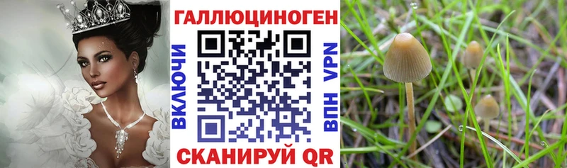 Псилоцибиновые грибы GOLDEN TEACHER Кемь